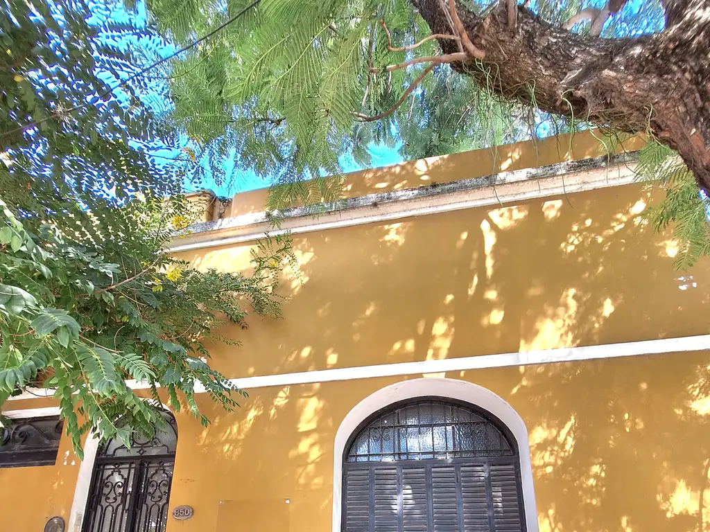 Propiedad en De La Torre 800